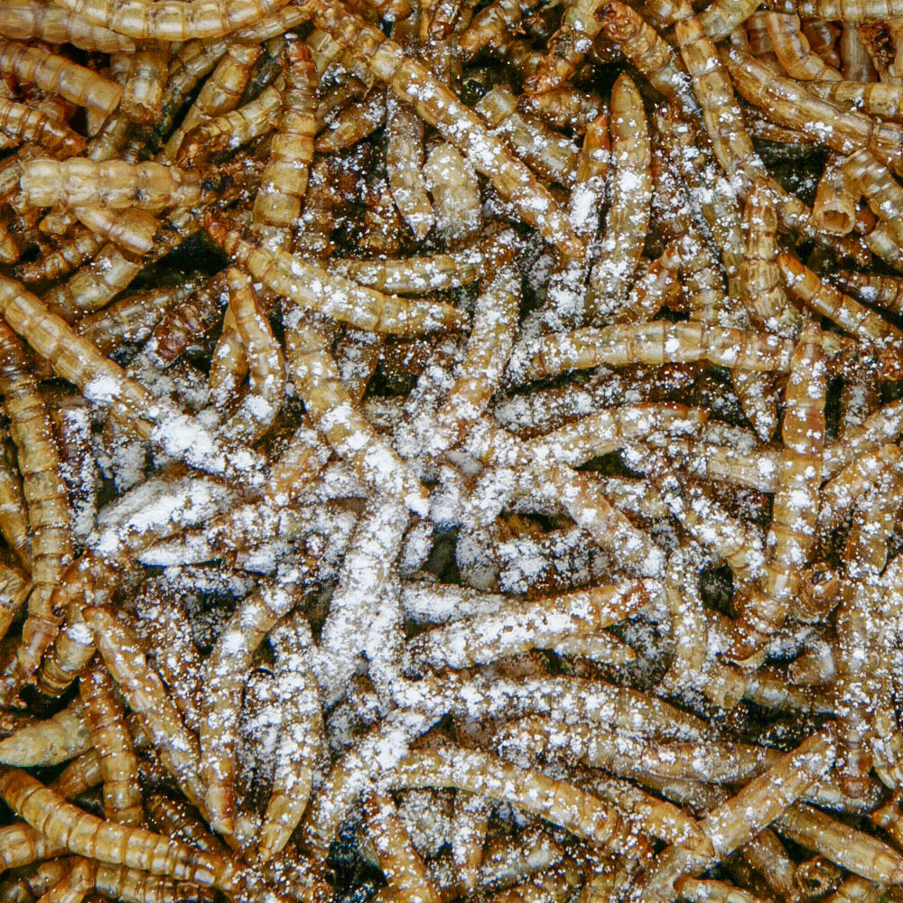 Calcium a D3 pre plazov 125g