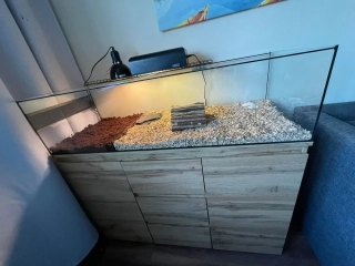 Terárium pre suchozemské korytnačky 150x48x25cm